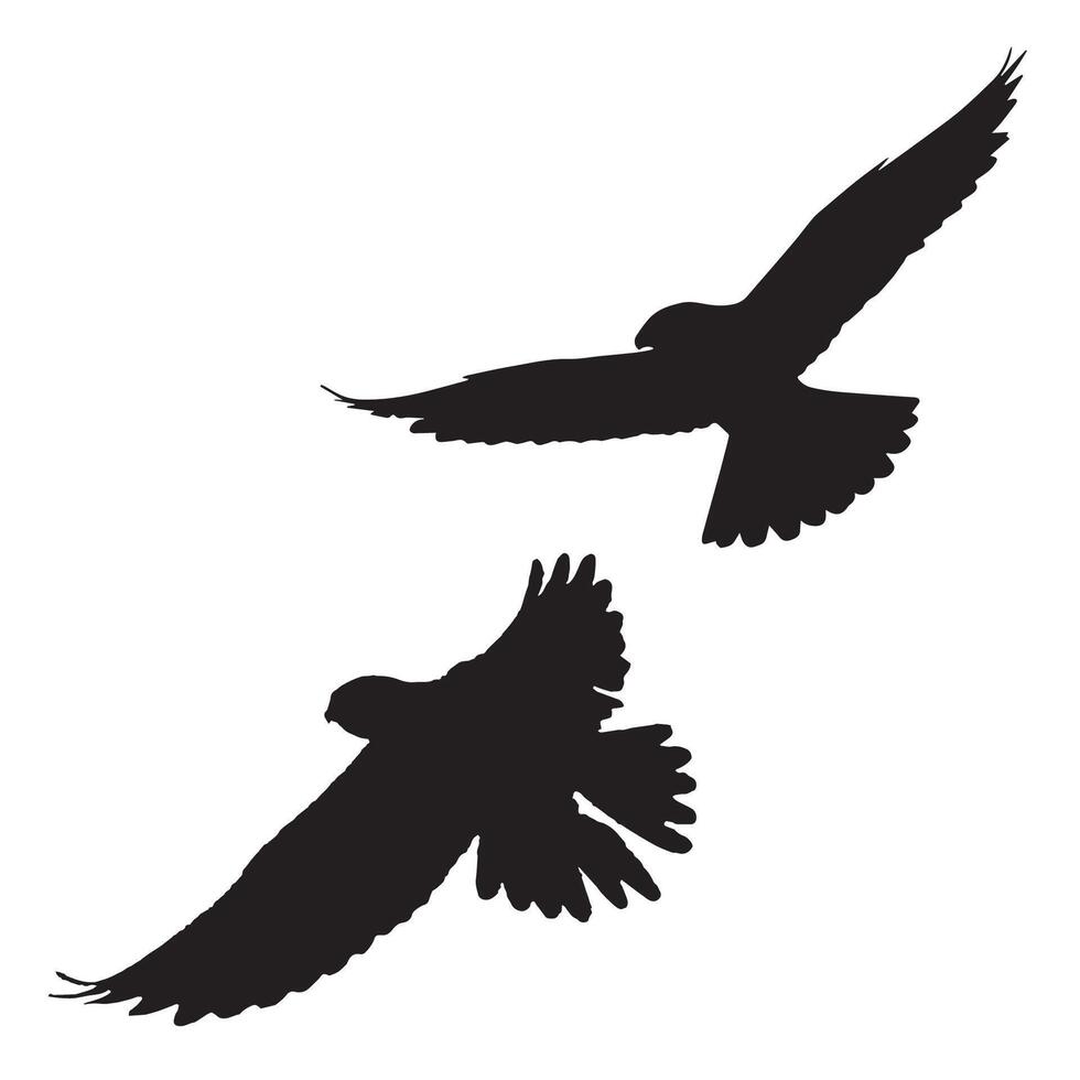 Falcon Silhouette Illustration Silhouette vector