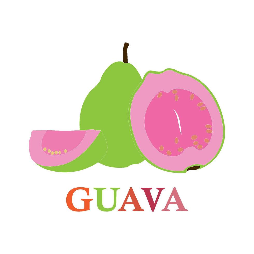 illustration of a guava vector