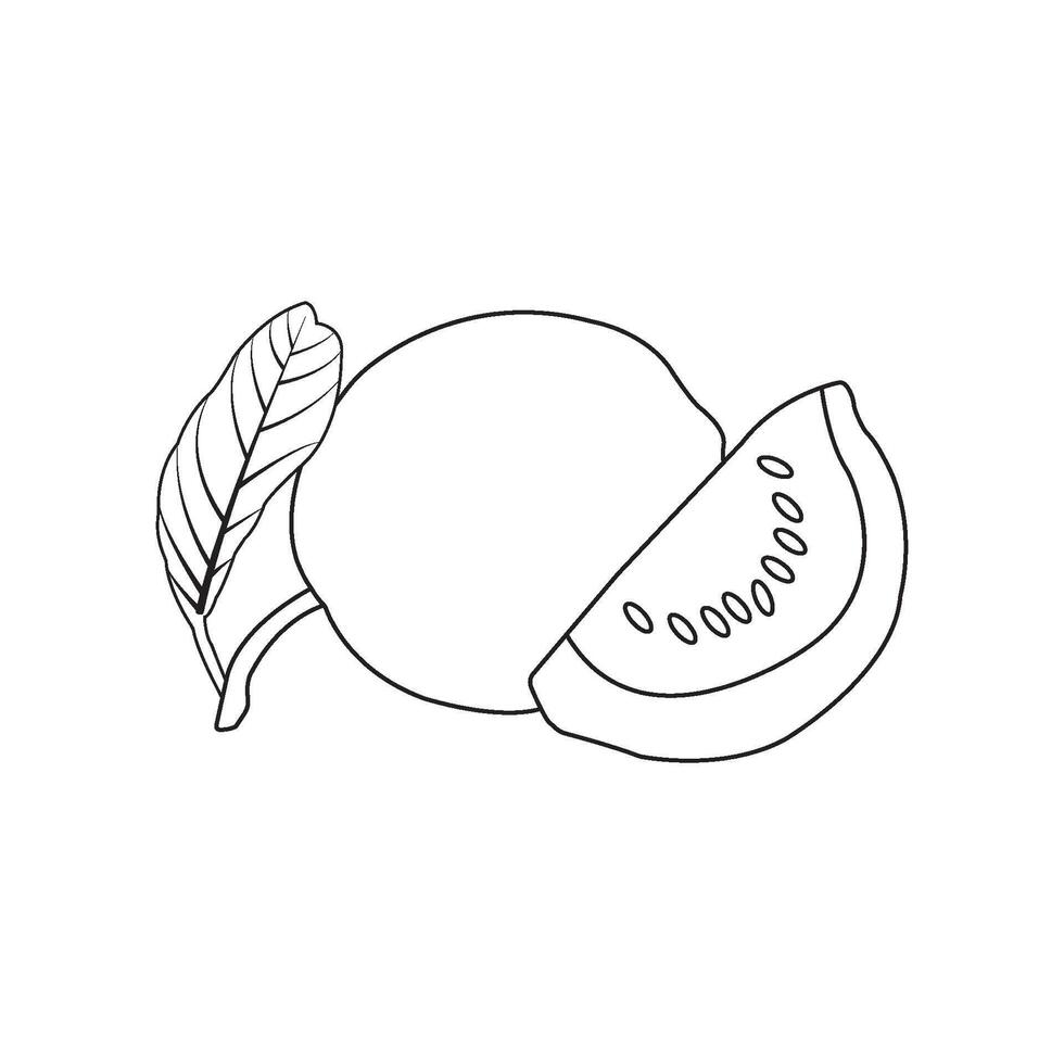 illustration of a guava image vector