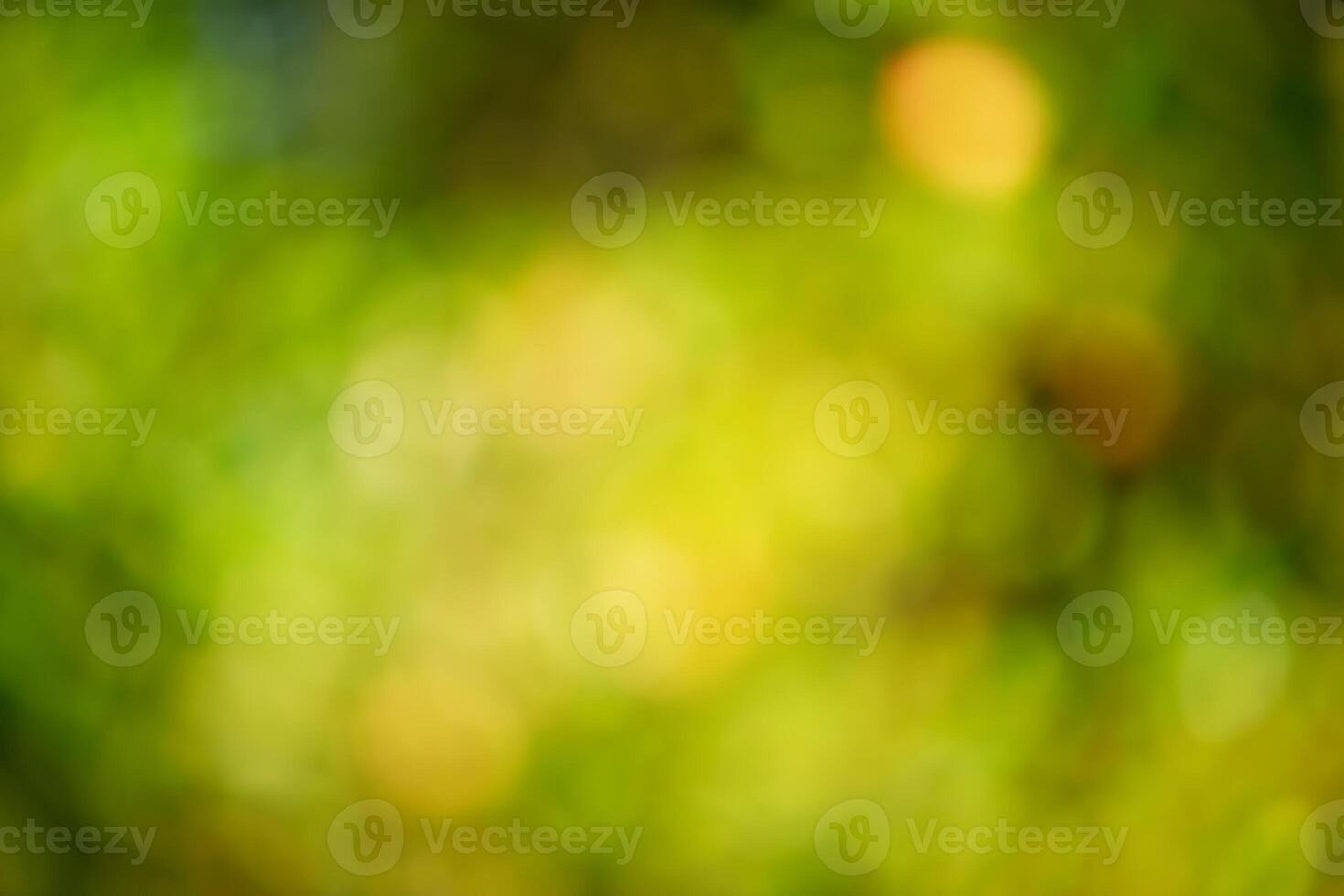 Defocus light natural background. The blurred leaves of the trees are green and yellow. Bokeh photo