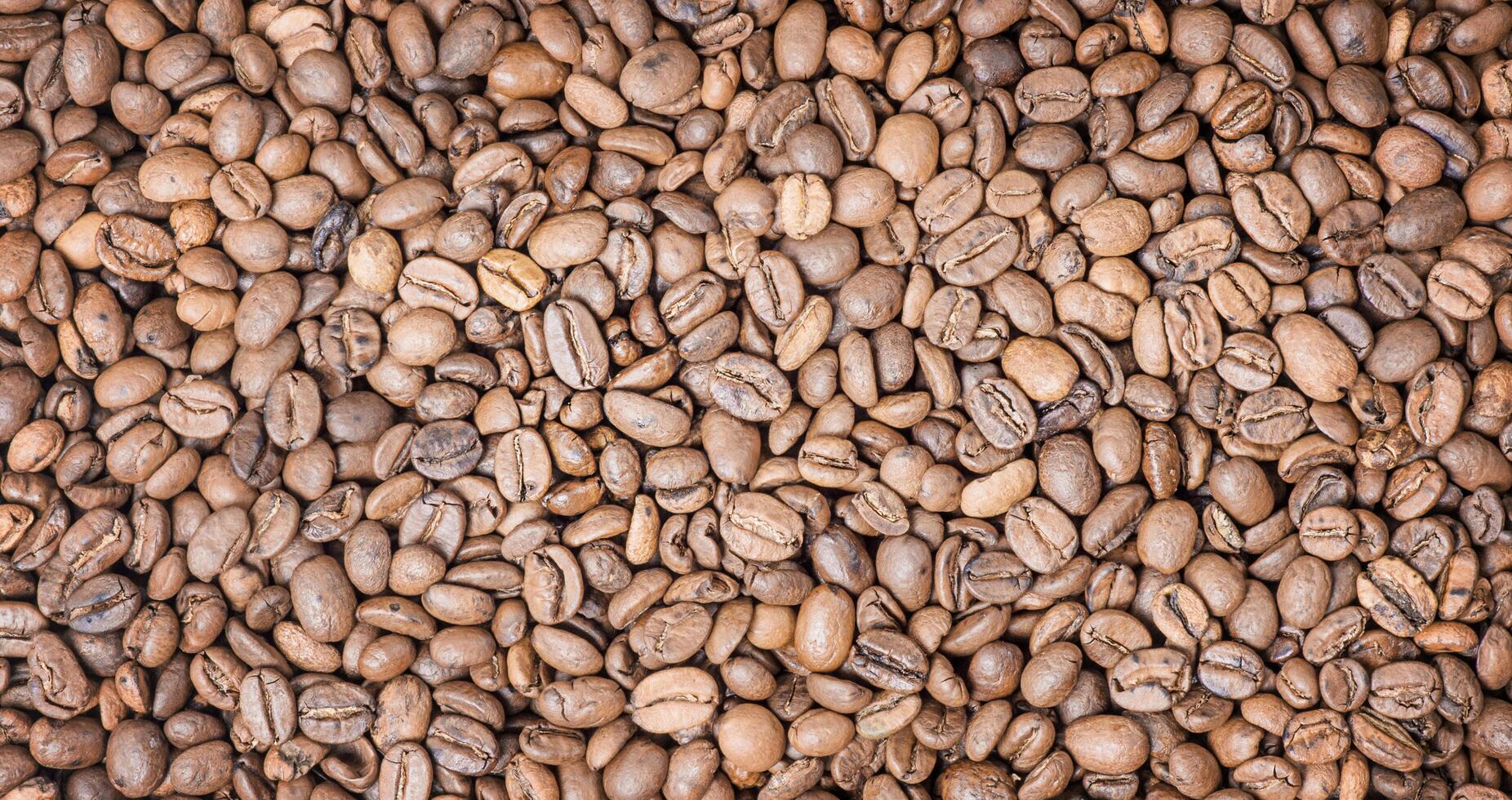 Roasted coffee beans as a background. Coffee, cheerfulness web size. photo