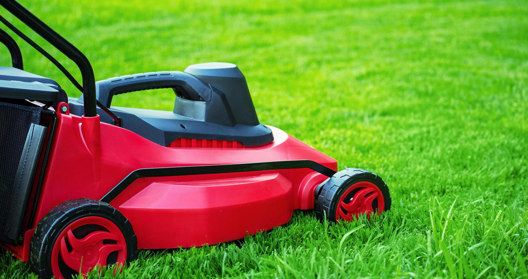 The process of mowing the lawn with a lawnmower. Red and black lawnmower on green grass web size photo