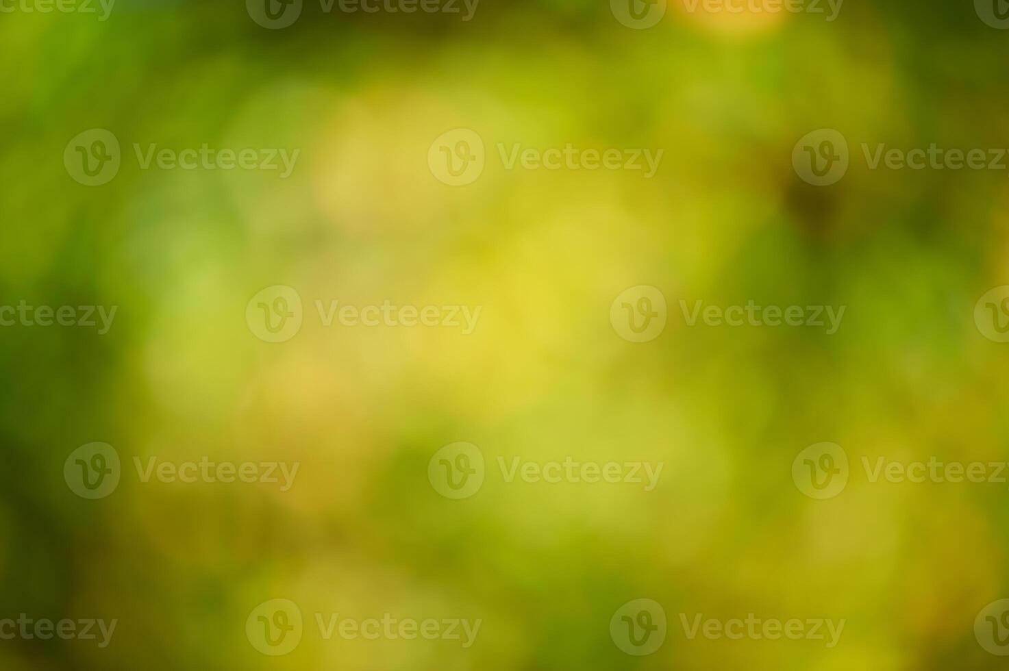 Natural green with yellow blurred background. Defocus light photo