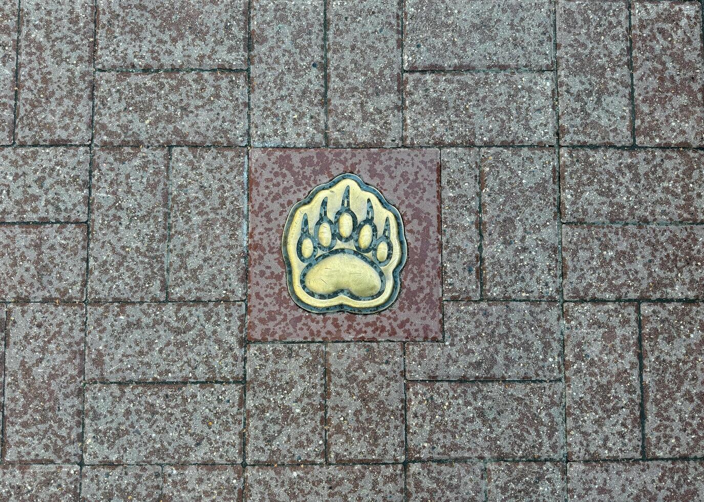 bear's paw as a symbol of the city of yaroslavl, element on sidewalks photo