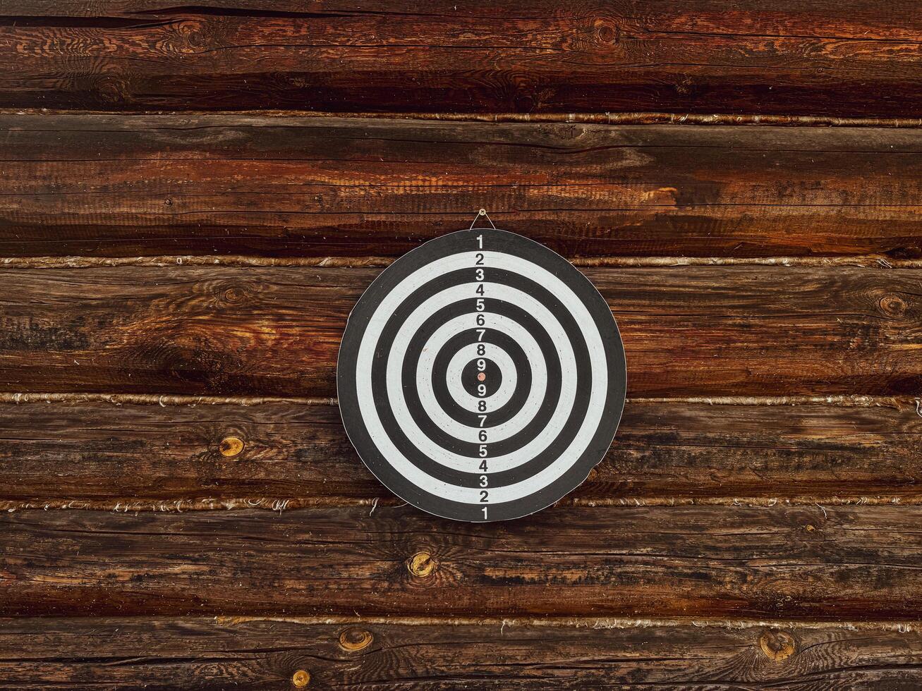 black and white target with wooden bars in the background photo