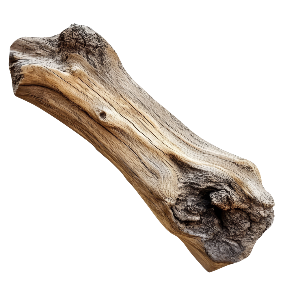 A weathered driftwood log showcasing intricate textures and forms, perfect for artistic decoration and design, driftwood log on transparent background png