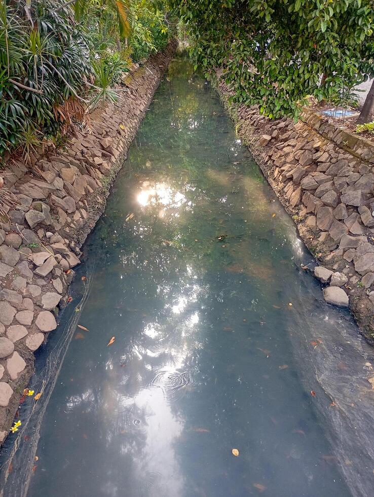 Photo of a murky river with trees on either side