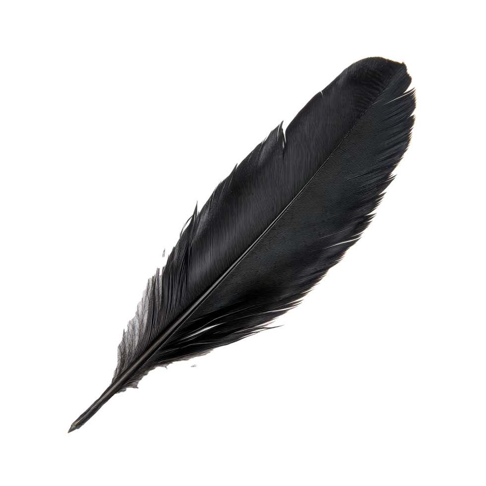 The black feather is isolated against a transparent background, showcasing its elegant shape and intricate fiber patterns, black feather on transparent background png