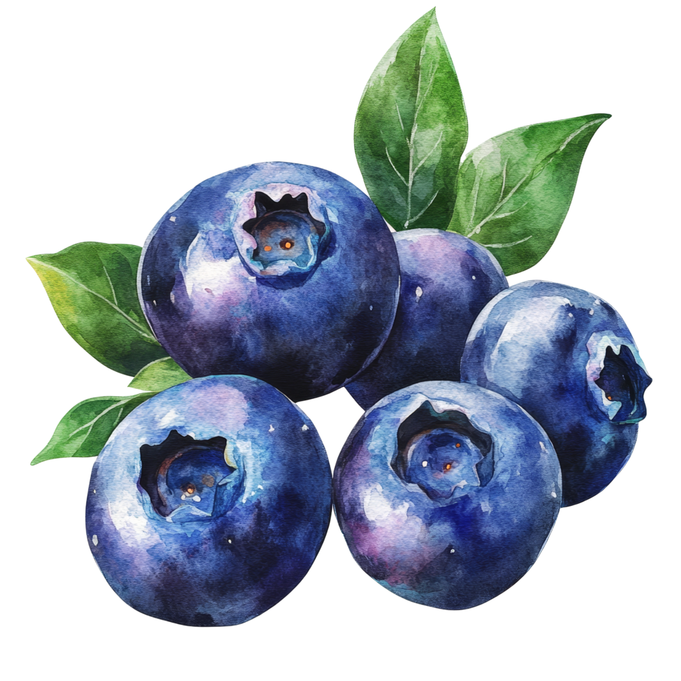 A vibrant watercolor depiction of blueberries and green leaves against a clean backdrop, blueberries in drawing on transparent background png