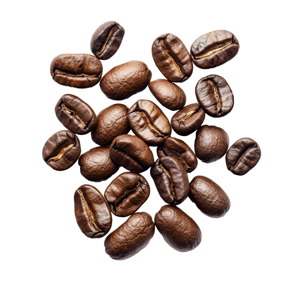 Roasted coffee beans scattered on a transparent background showcasing their deep brown hues and unique shapes, red coffee beans on transparent background png