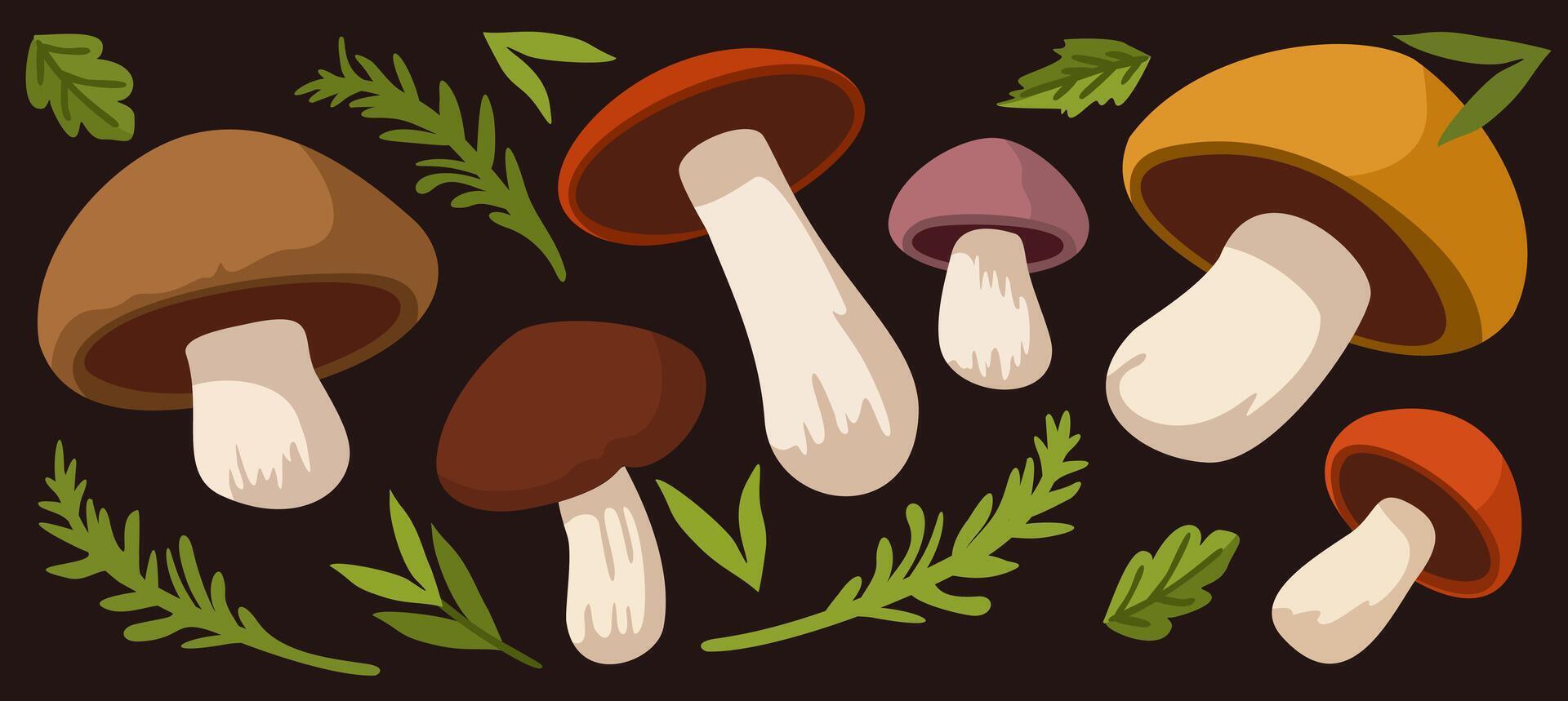 set of bright mushrooms and forest green branches on dark brown background vector