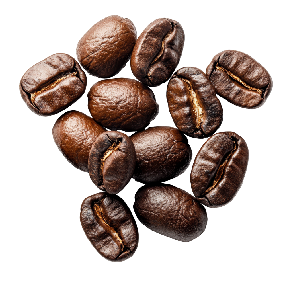 A display of roasted coffee beans highlights their glossy, deep brown color against a transparent background, red coffee beans on transparent background png