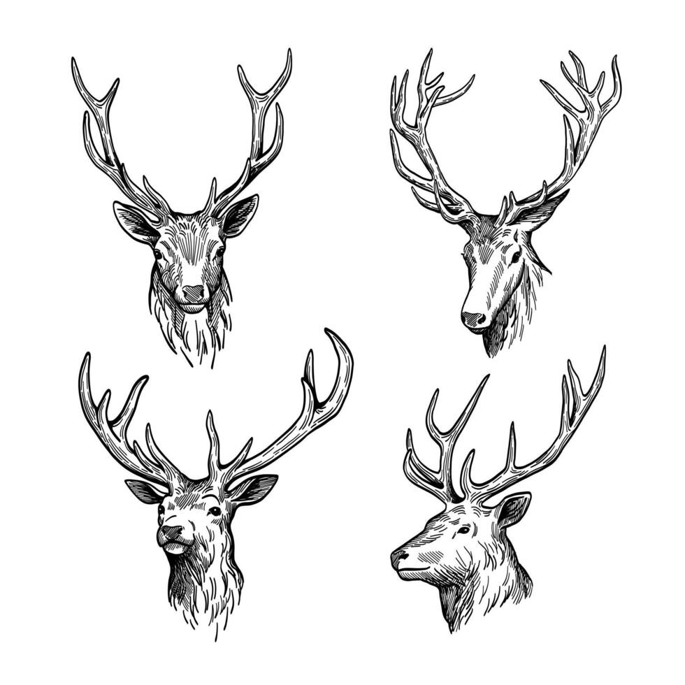 deer head silhouette hand drawn vector
