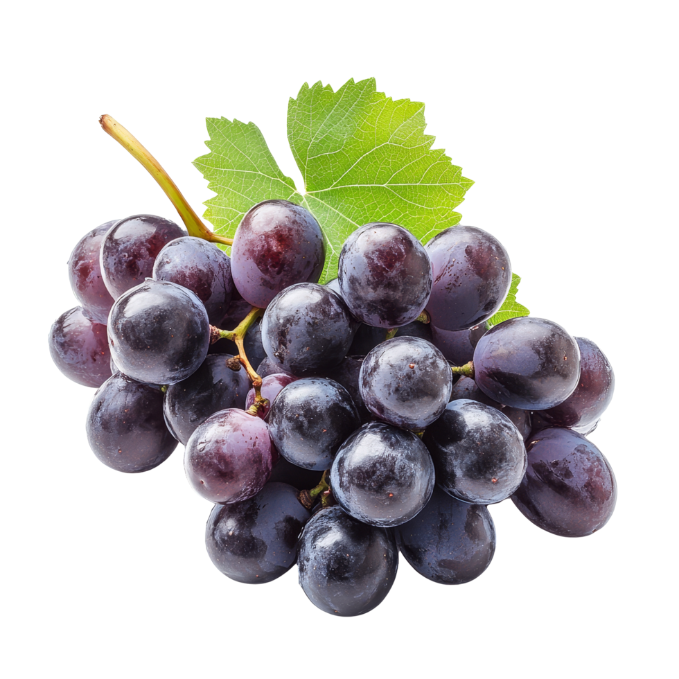 A cluster of fresh black grapes with a green leaf on a bright transparent background, grapes on transparent background png