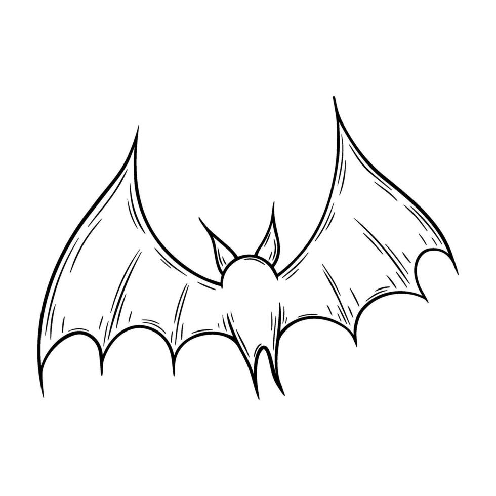 Halloween flying bat illustration in line art style. Graphic monochrome drawing. Hand drawn outline sketch, engraved doodle illustration. For coloring book, invitation, decoration. vector