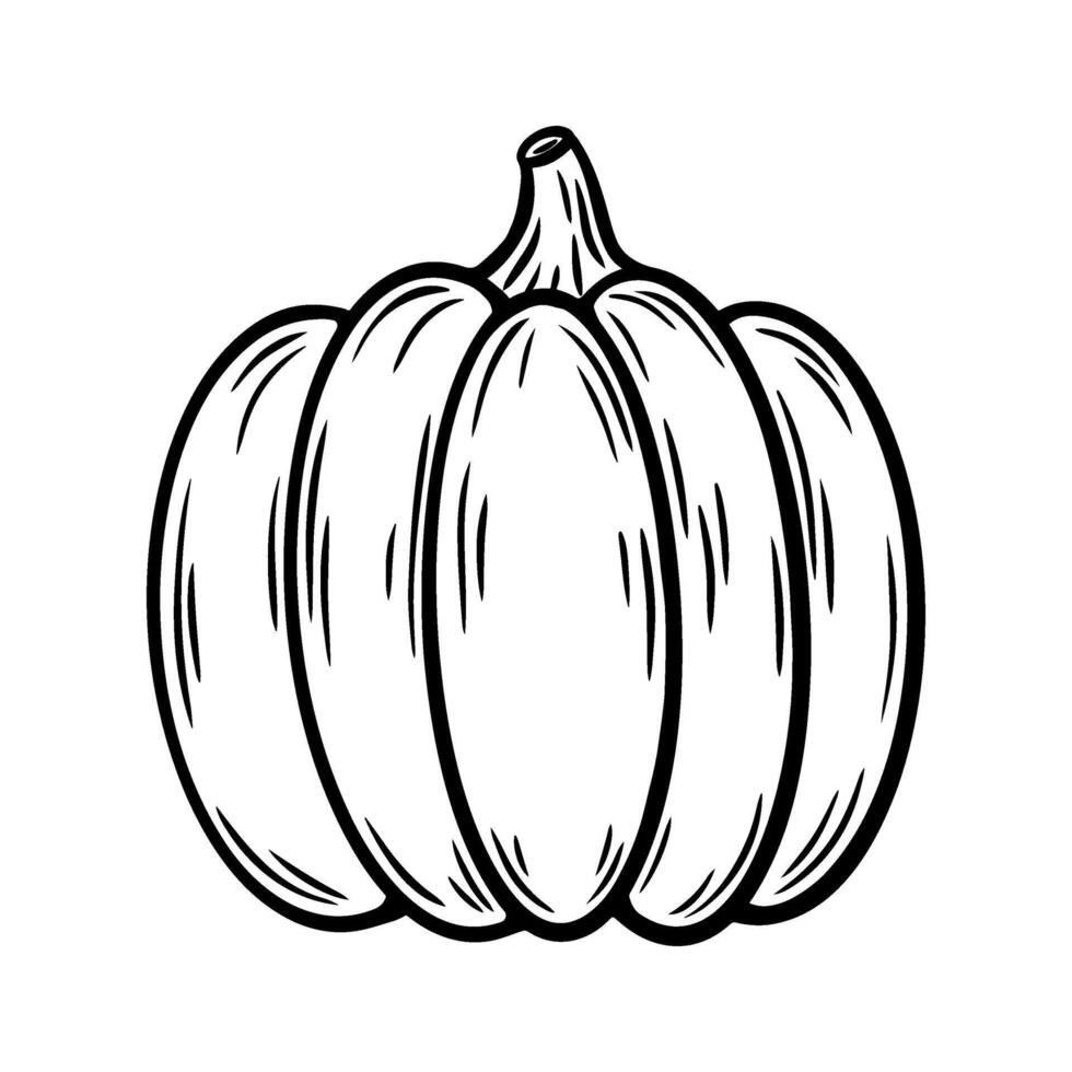 Autumn pumpkin illustration in line art style. Autumn vegetable graphic monochrome drawing. Hand drawn outline sketch, engraved illustration. For coloring book, invitation, decoration, Halloween decor vector