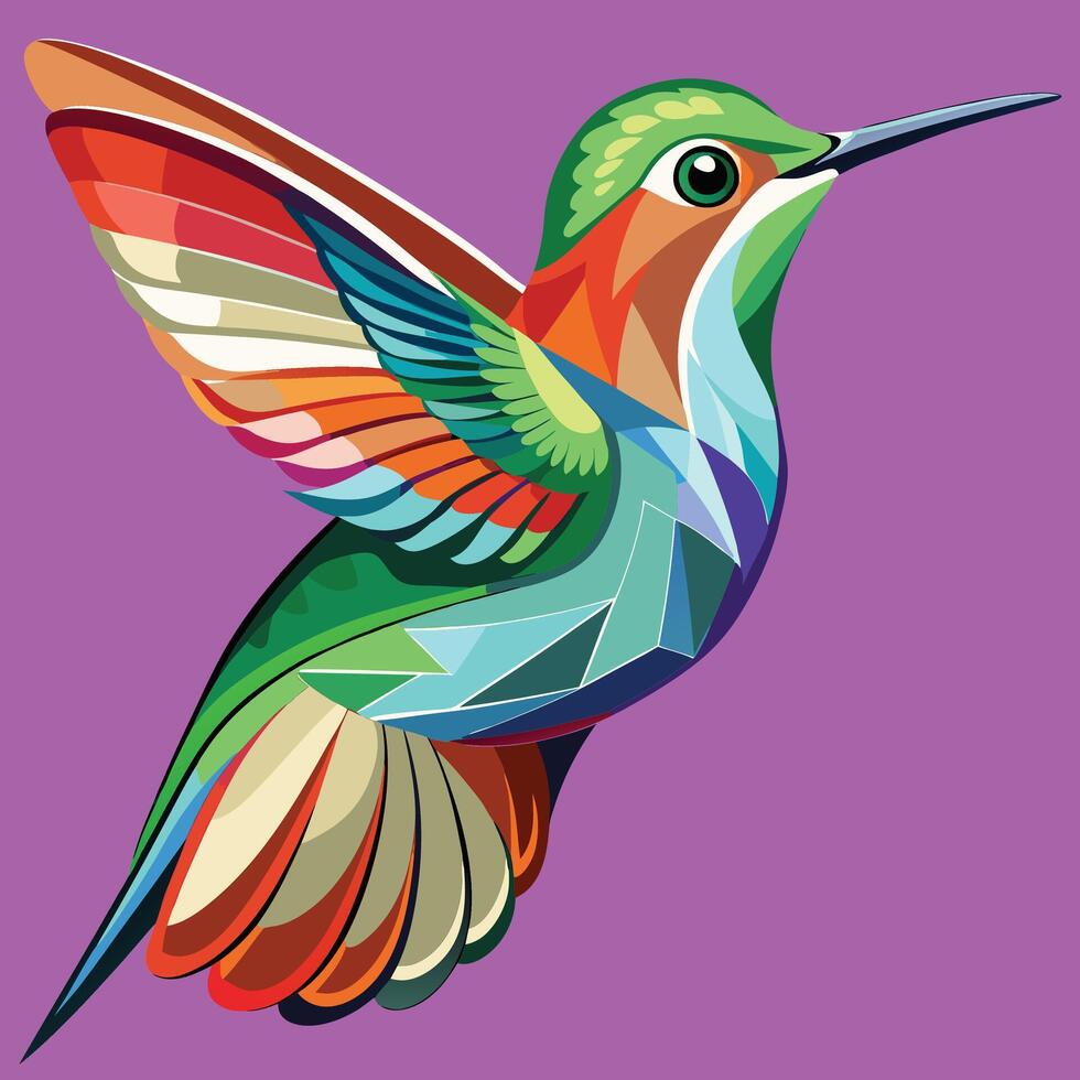 hummingbird Illustration on solid background vector
