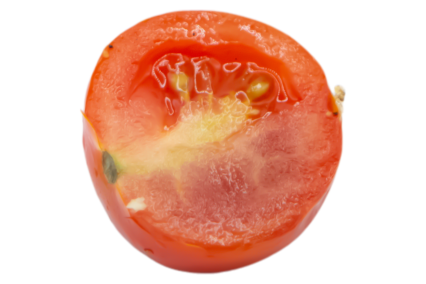 half tomato isolated on transparent background png