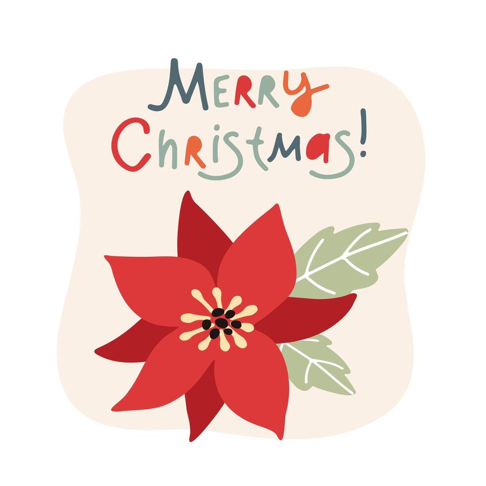 Christmas card with poinsettia flower and lettering, illustration flat style vector