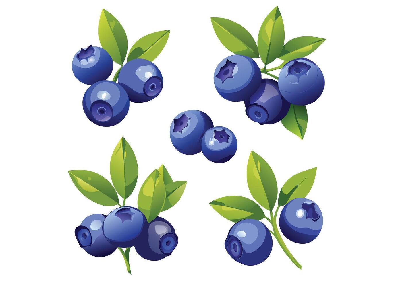 blueberry fruits set vector