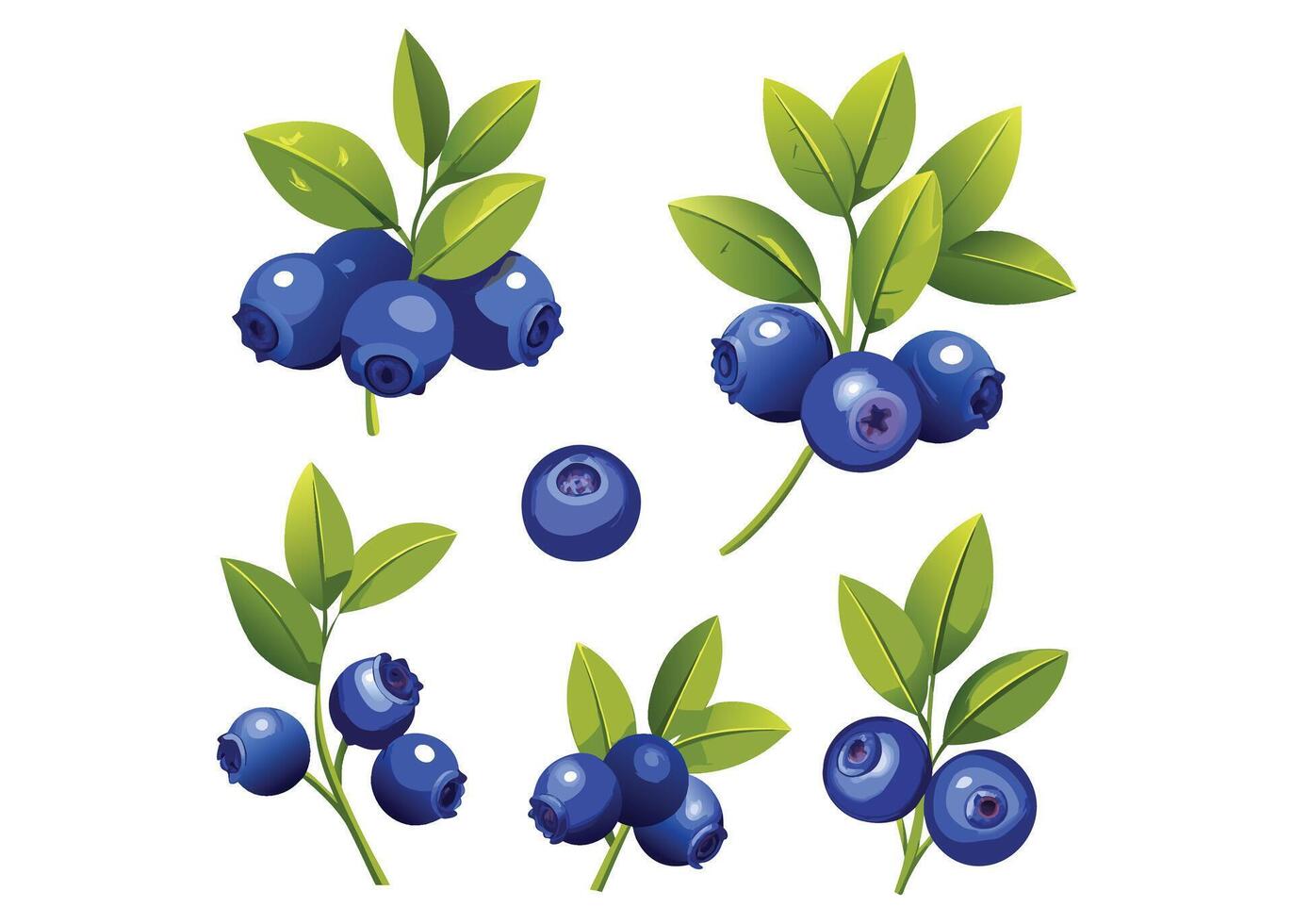 blueberry food set vector