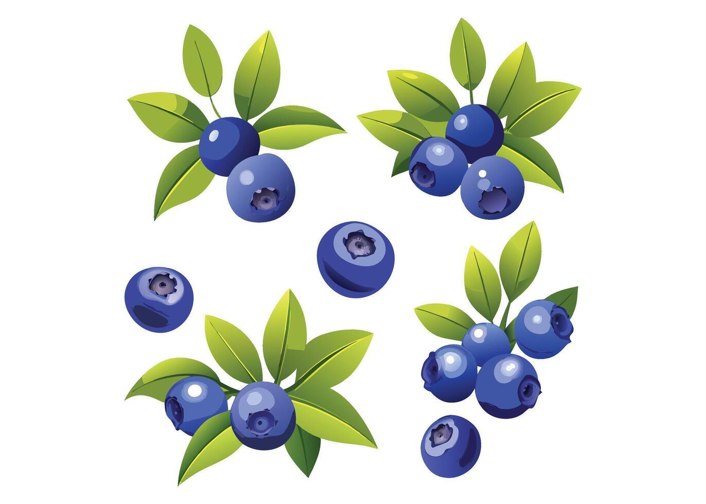 set blueberry illustration vector