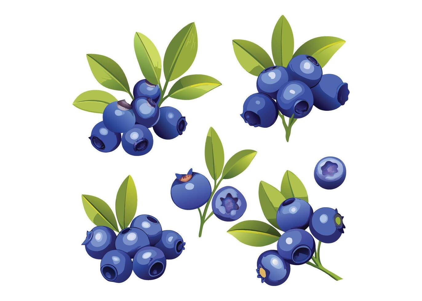 3D realistic blueberry set vector