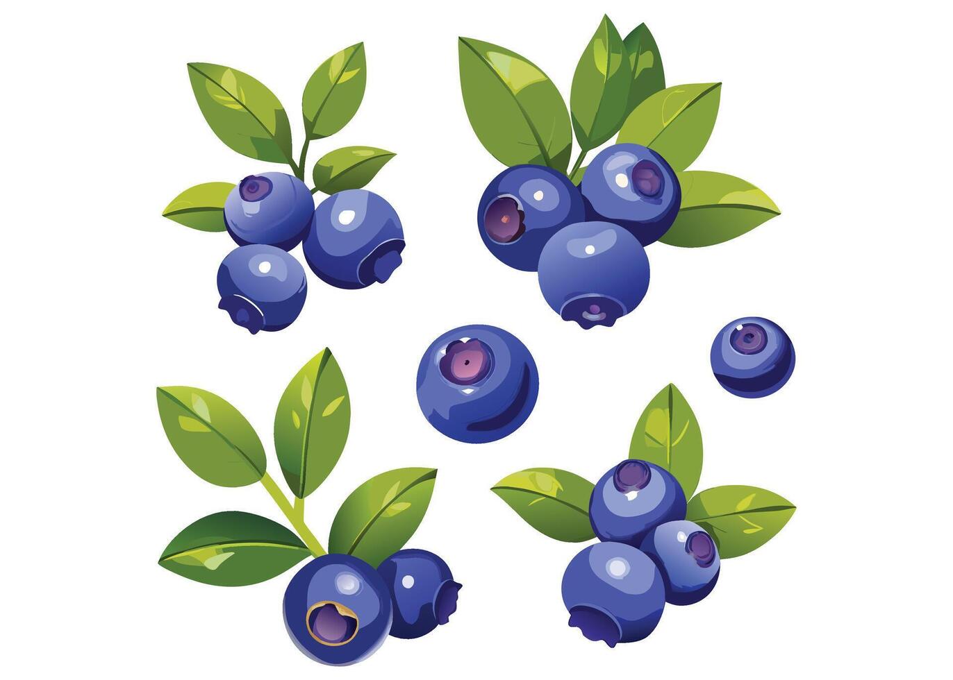 Set of fresh bright exotic blueberries isolated on white background. Summer fruits for healthy lifestyle. vector