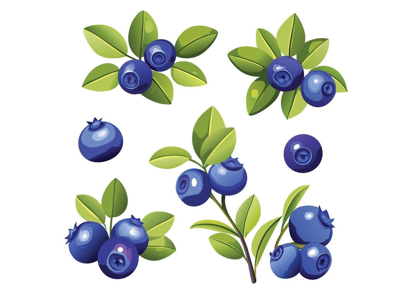 Set of a Blueberries with Green Leaves vector
