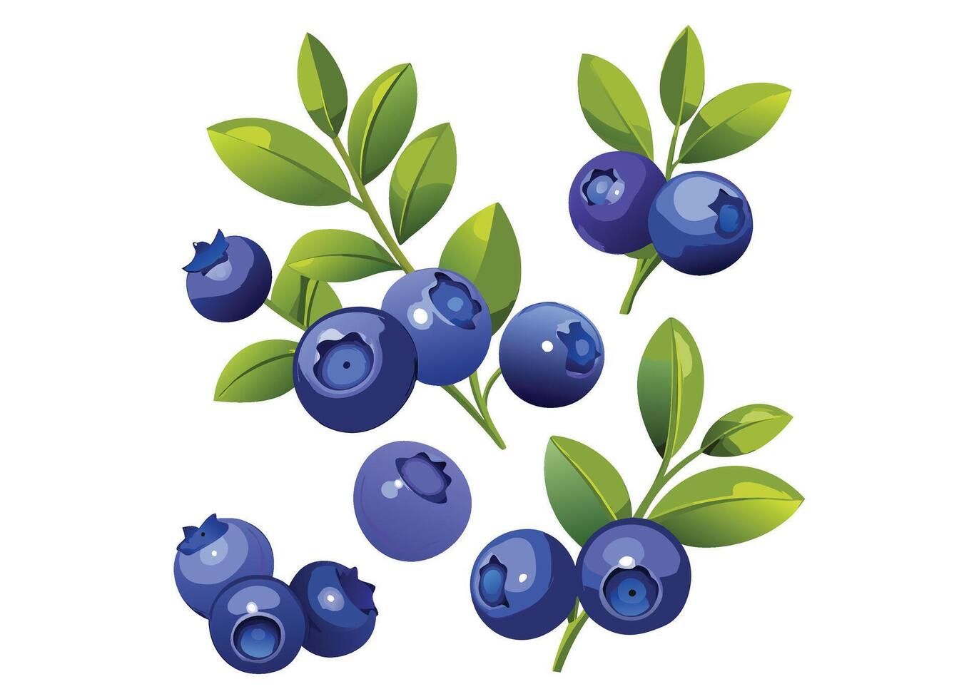 Harry twignd drawn set bluebes, flowers, green leaves. illustration of wild berries, summer botanical collection vector
