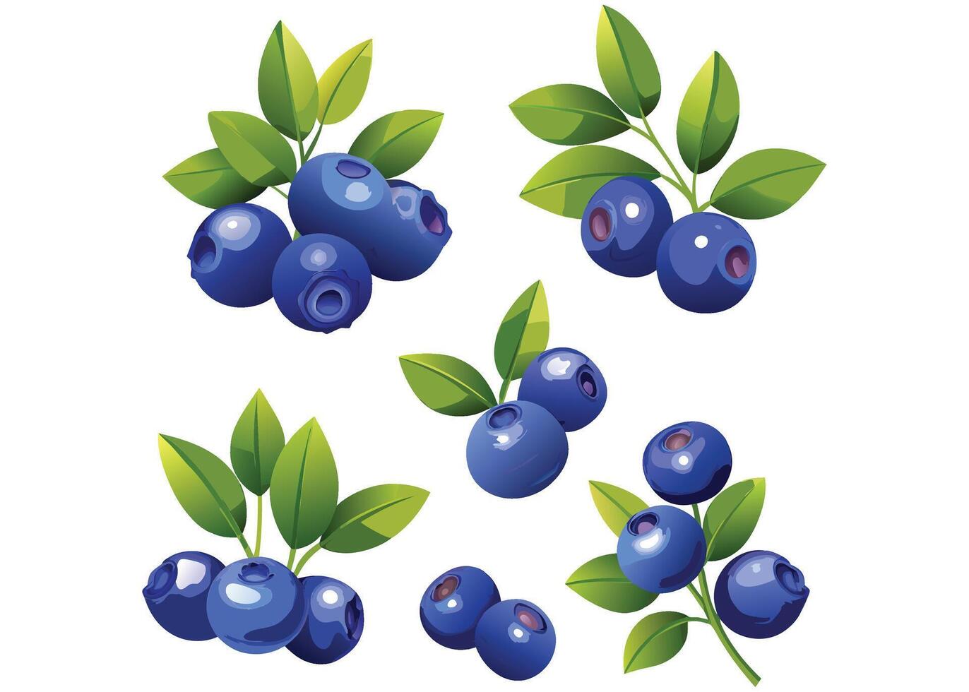 blueberry set fruits vector