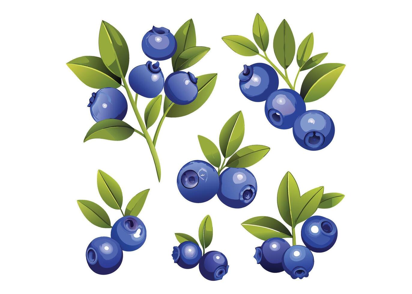 illustration set blueberries vector