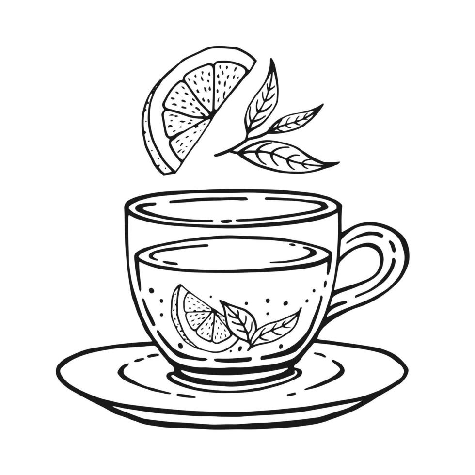 Glass cup of tea, lemon slices, tea leaves. Hand drawn illustration in outline style. vector