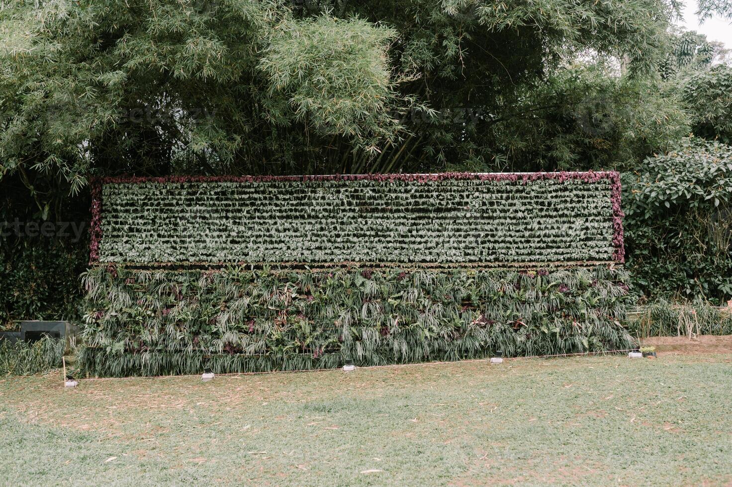 Decorative wall adorned with various plants, creating a fresh and vibrant look photo