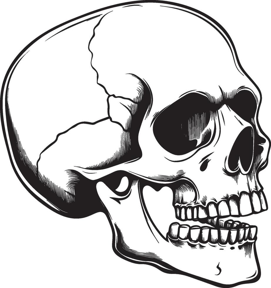 Skull skeleton head side view clean simple black vector