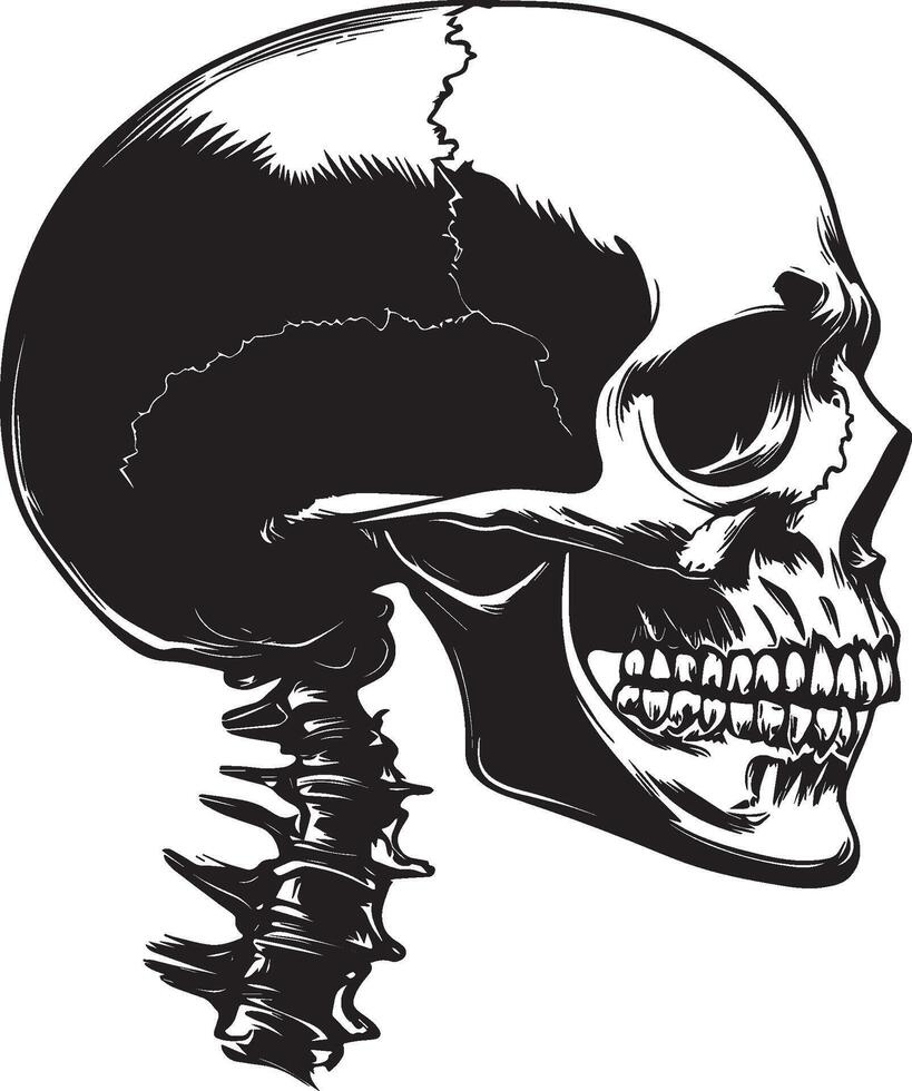 Skull skeleton head side view silhouette black vector