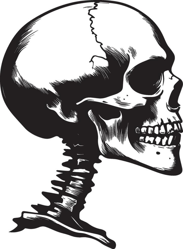 Skull skeleton head side view silhouette black vector