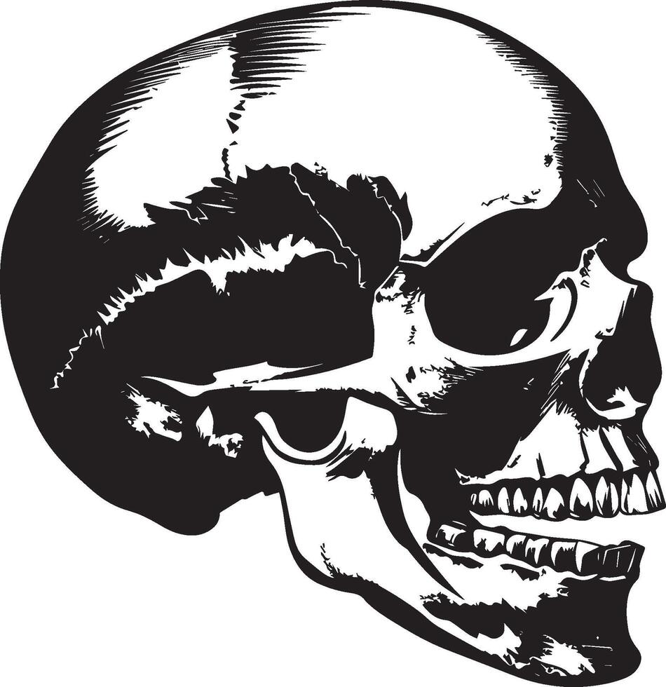 Skull skeleton head side view clean simple silhouette black vector