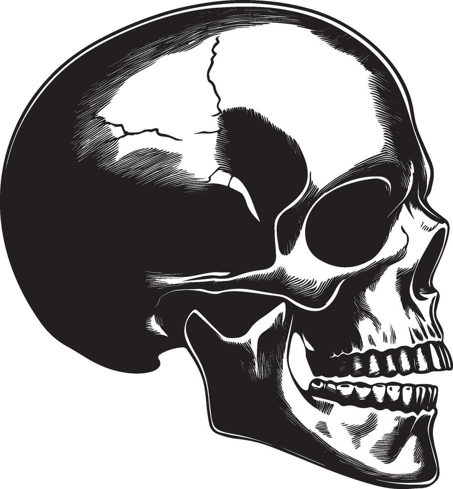 Skull skeleton head side view clean simple silhouette black vector