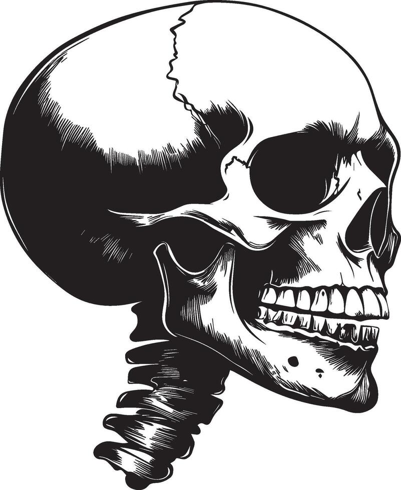 Skull skeleton head side view clean simple silhouette black vector