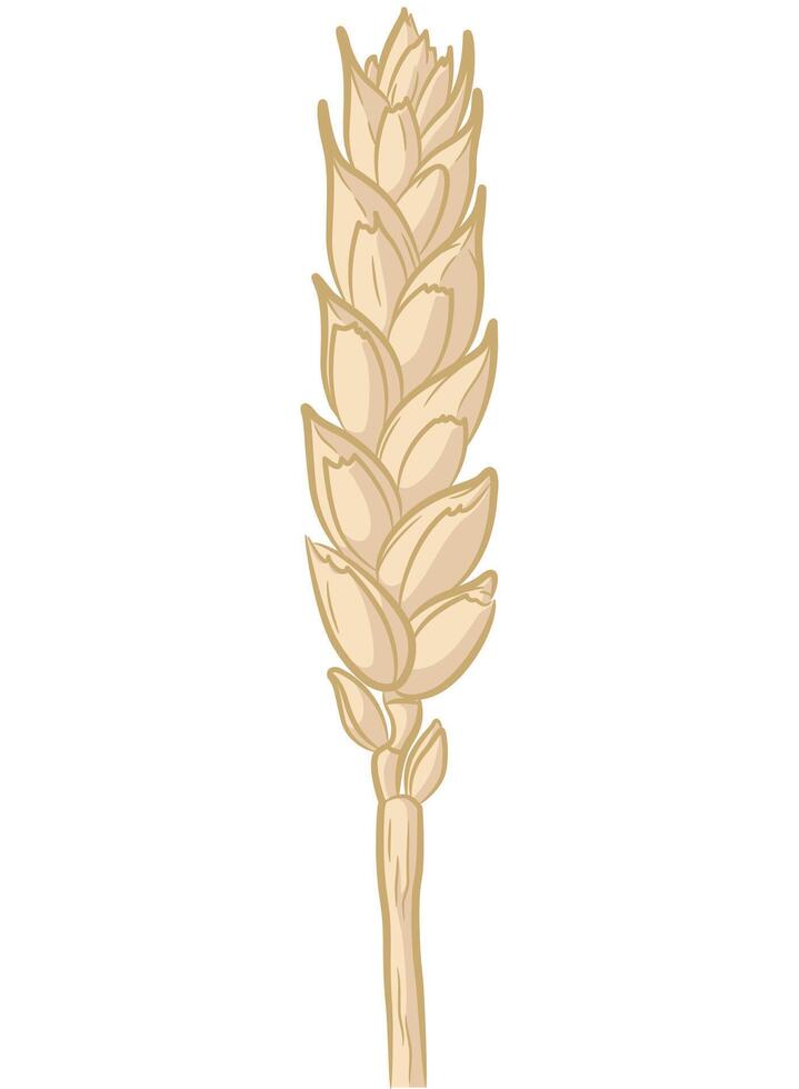 Wheat Stalk Rice Ear Straw Cartoon vector