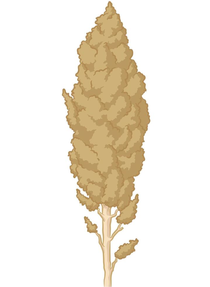 Sorghum Stalk Crop Ear Sheaf Cartoon vector