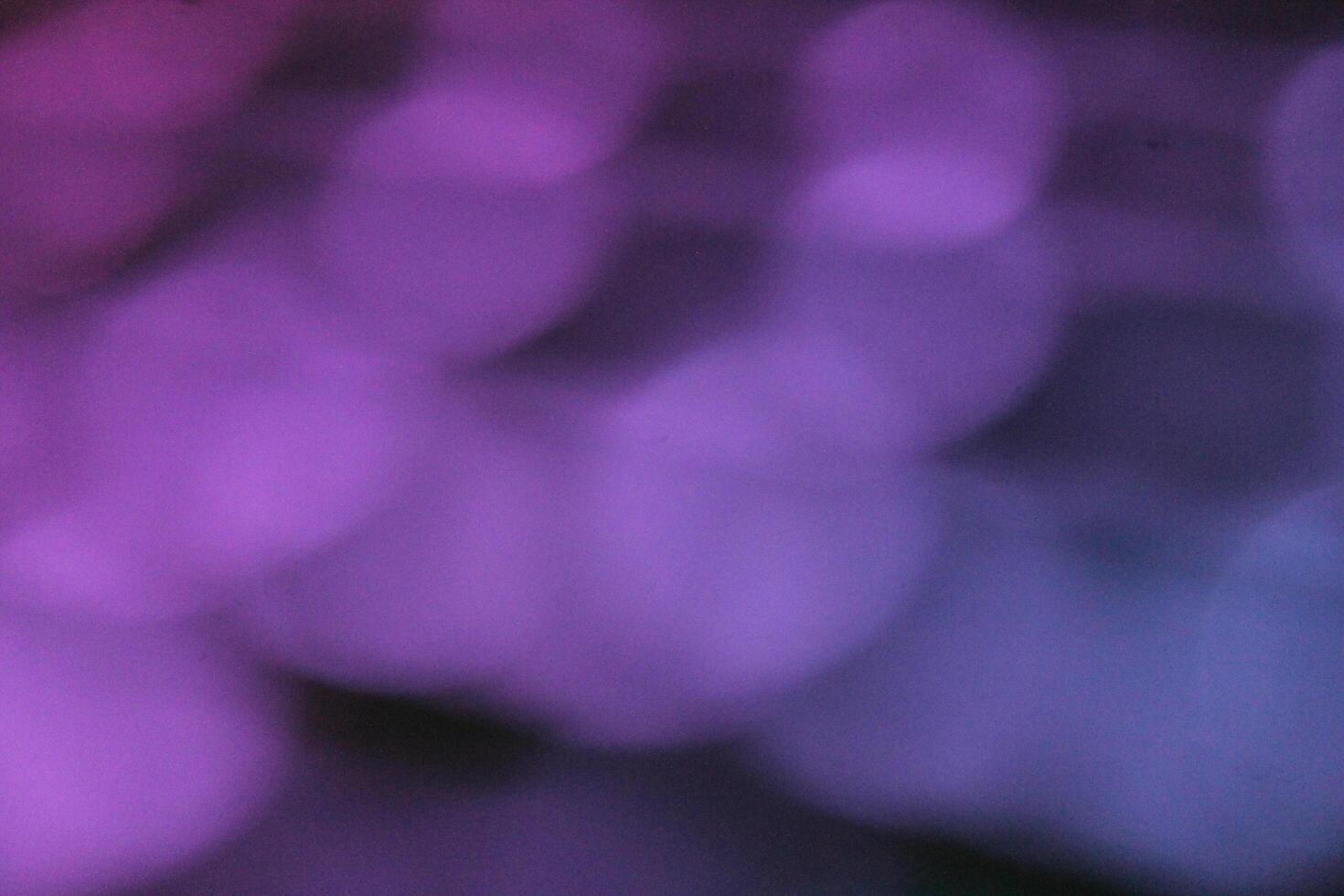blurred bokeh light photo