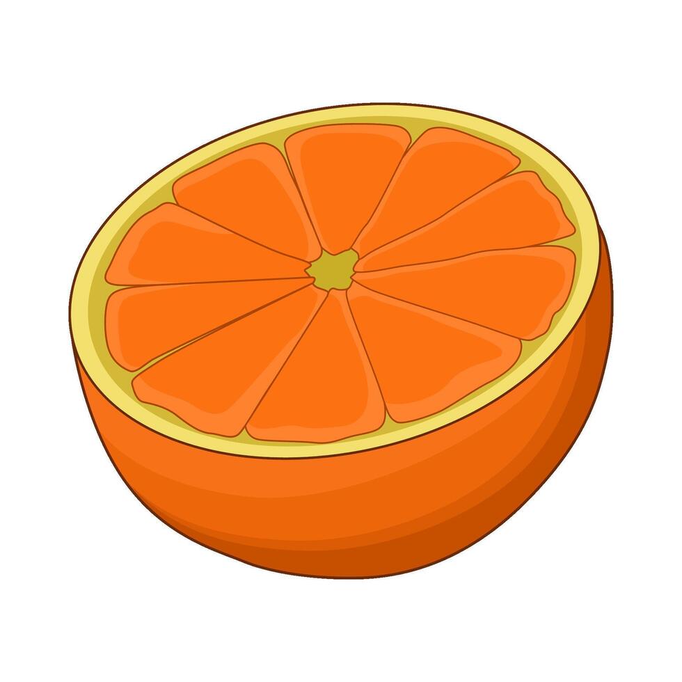 illustration of orange vector
