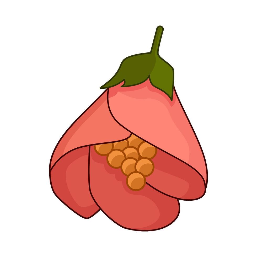 illustration of beautiful flower vector