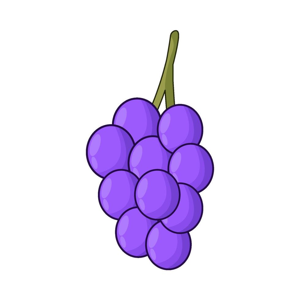 illustration of grape vector