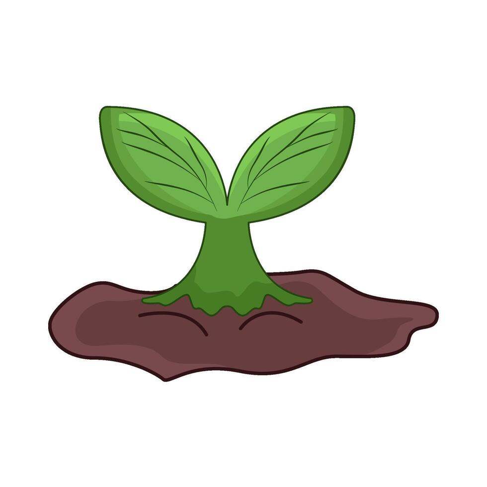 illustration of plant vector