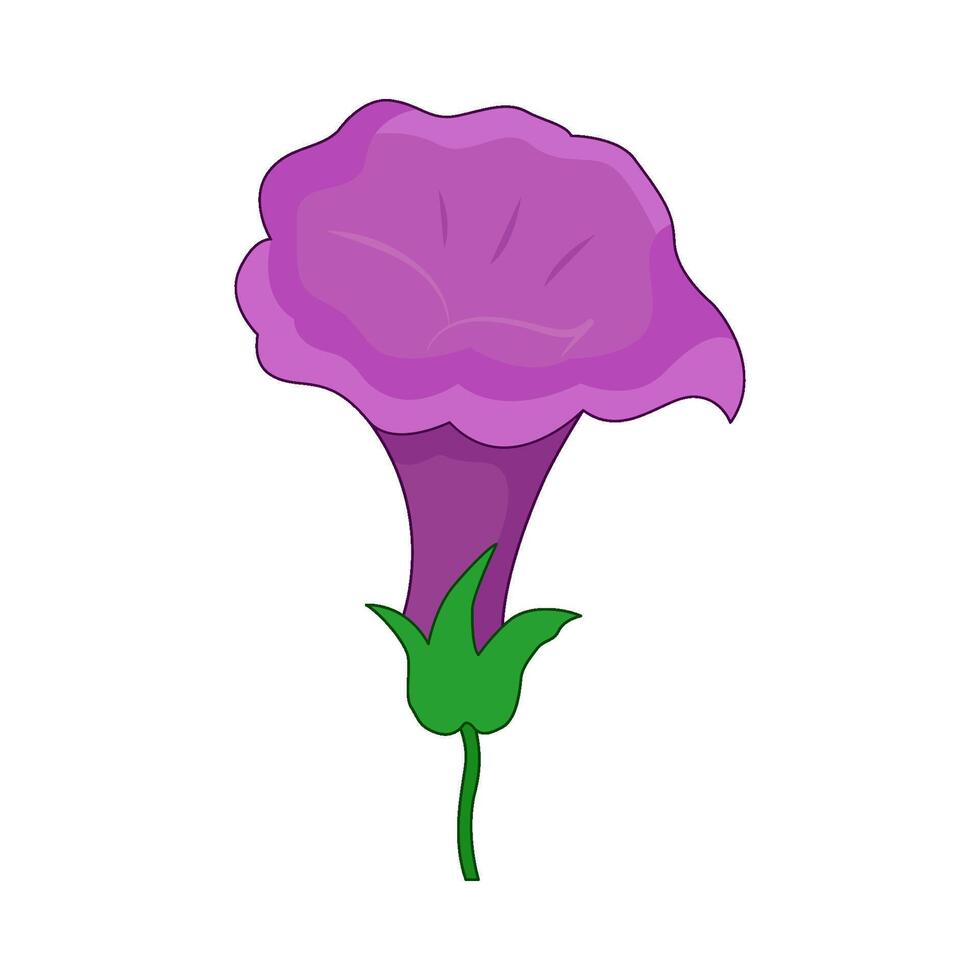 illustration of petunia flower vector