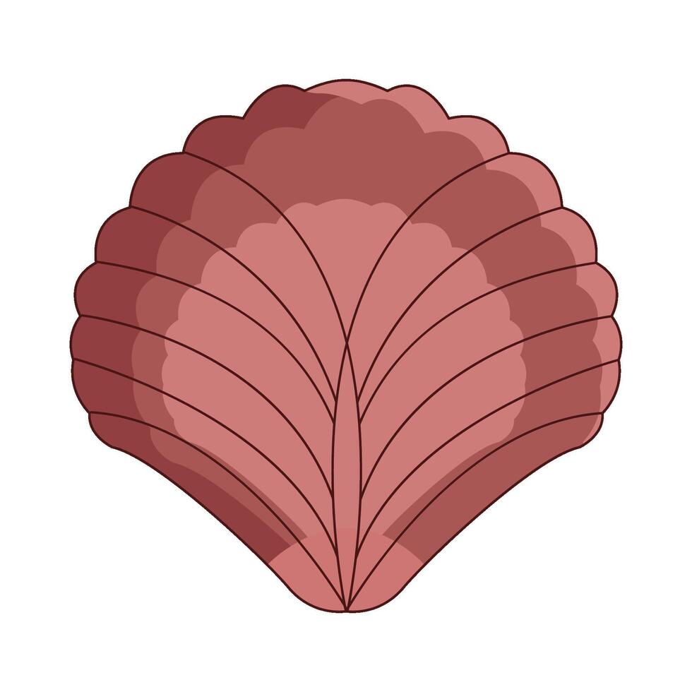 illustration of seashell vector