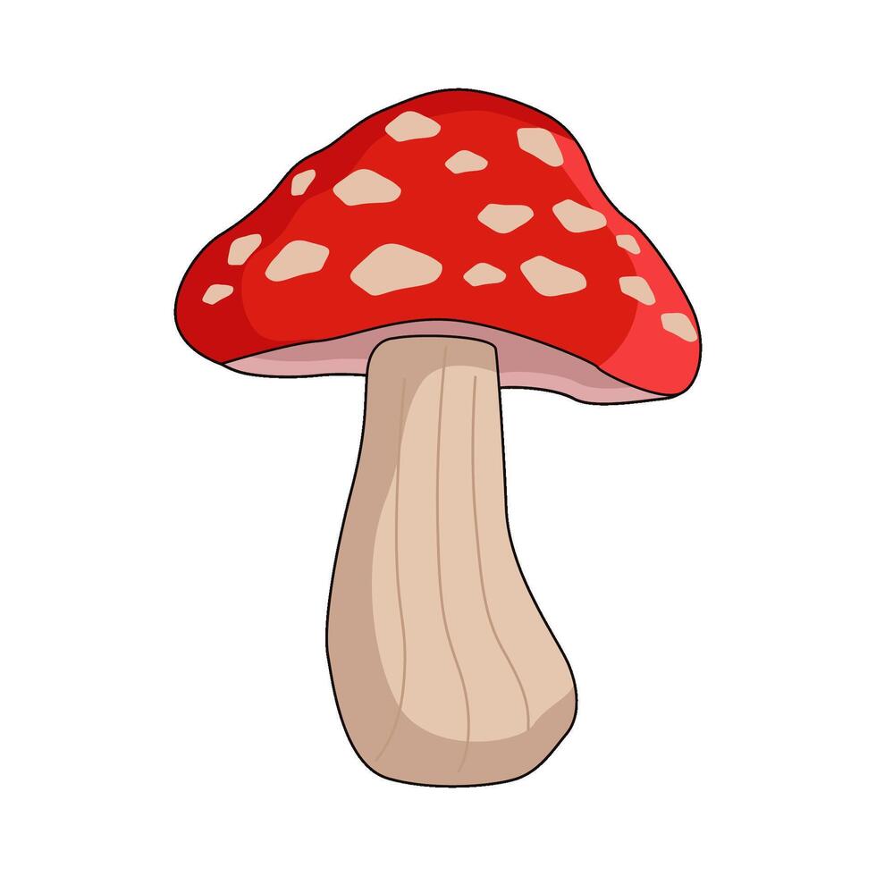 illustration of mushroom vector